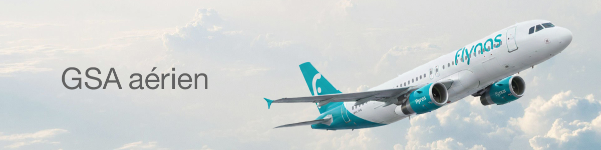 Airline-GSA-Banner-French2