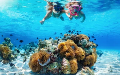 Hurghada Giftun Island Snorkeling